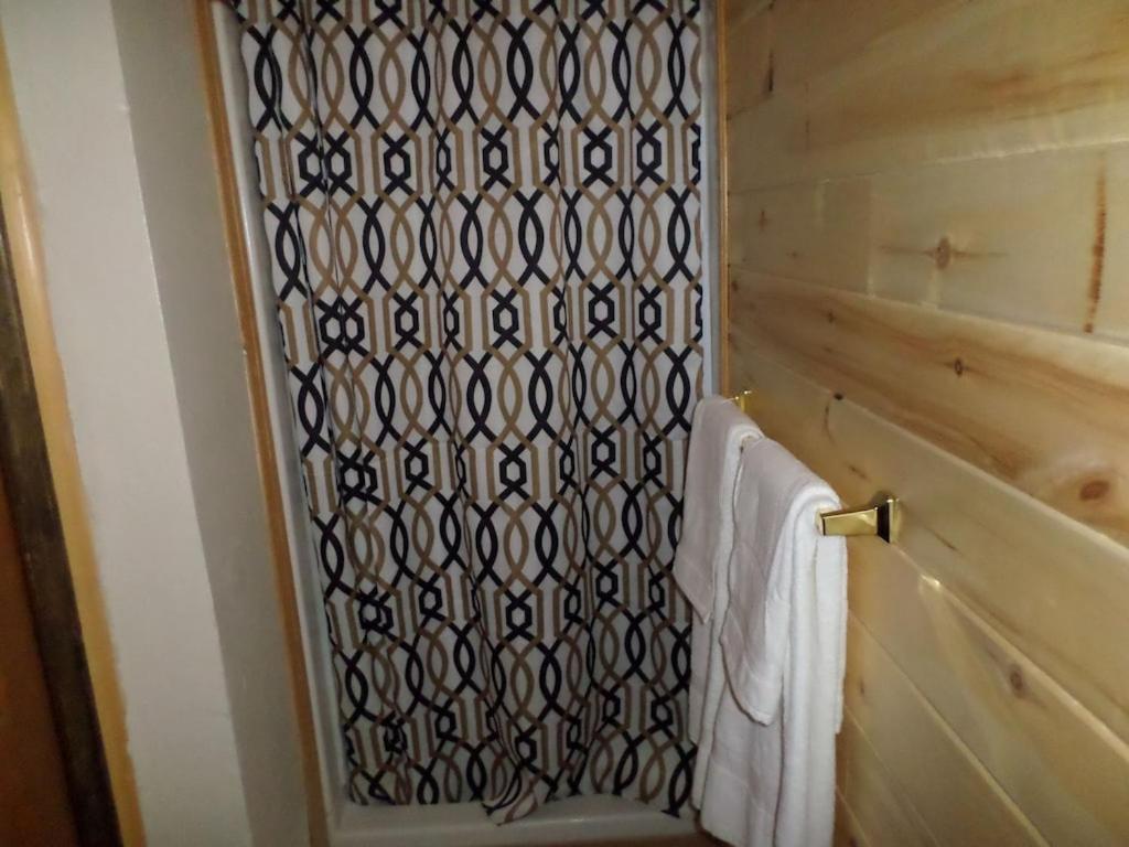 Downtown Apartment Del Norte Colorado